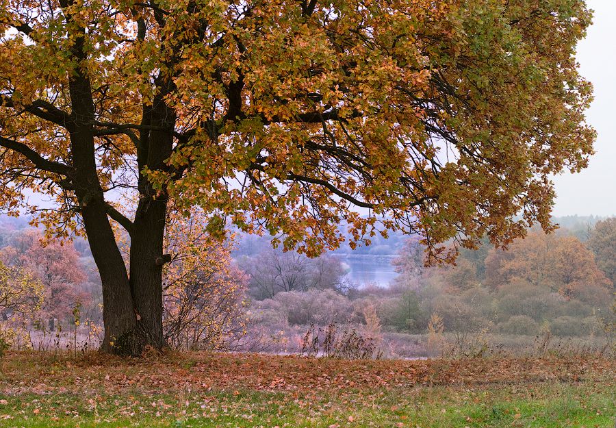 ..............Осень на Березине.............