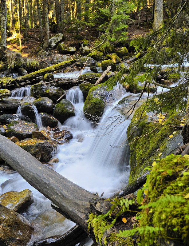 Осенняя Муруджу