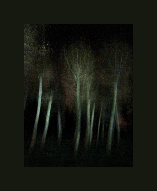 в ночном парке