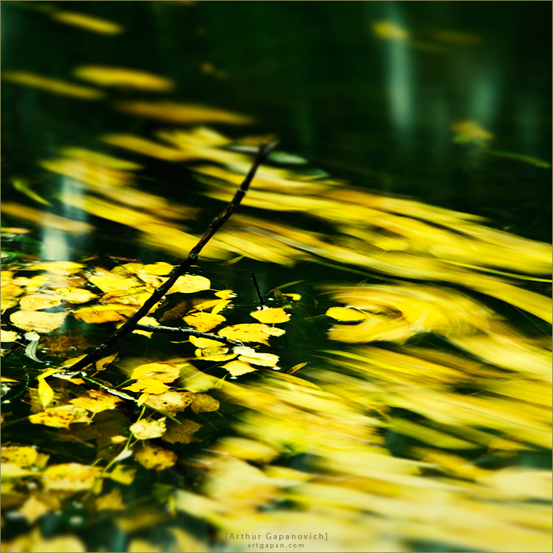 ‎[ Осенние реки... ]