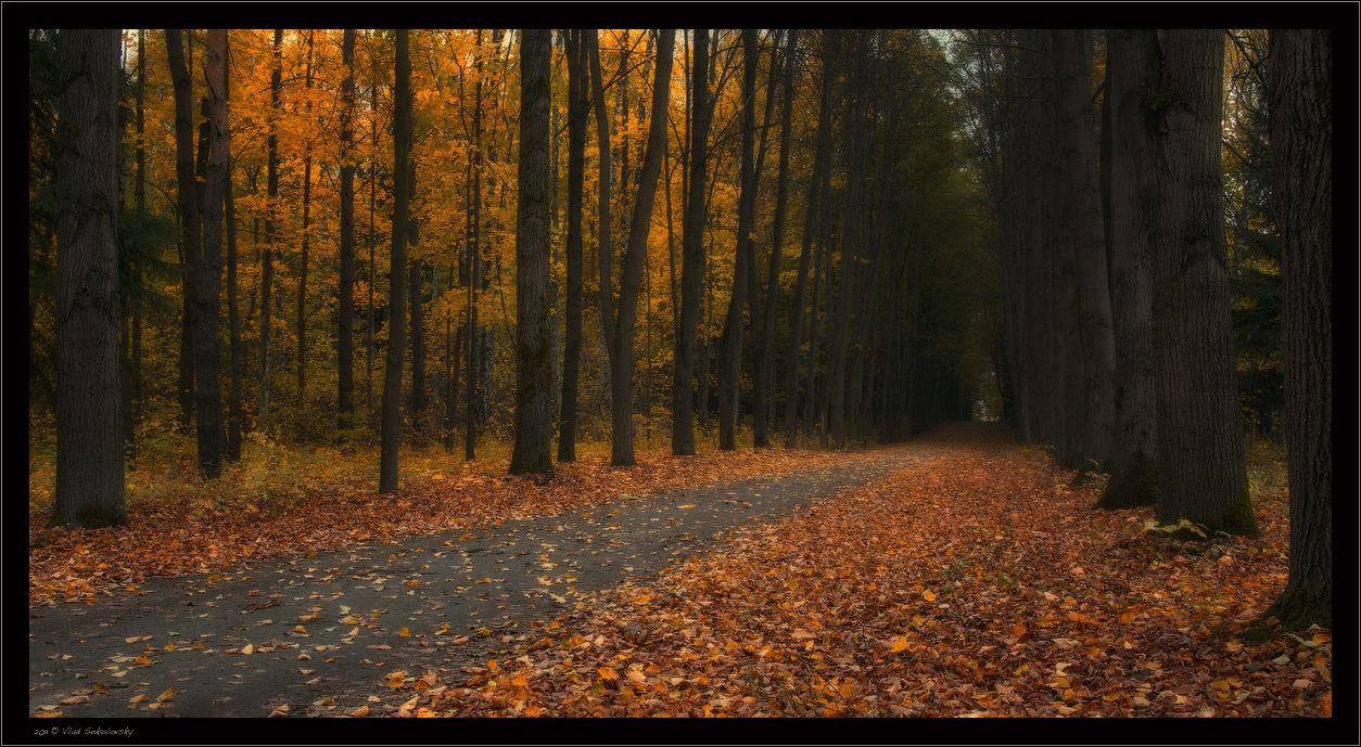 / Уходя в осень ... /