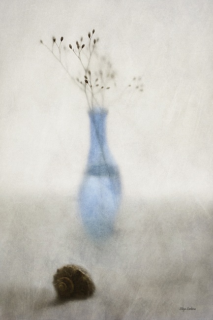 о несбывшихся мечтах...