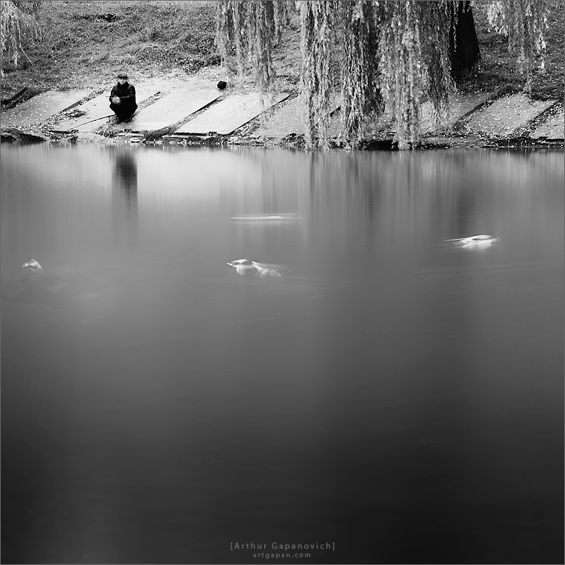 [ The Tranquil Waters ]