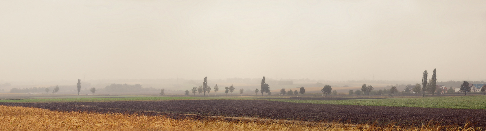 Дождливое настроение