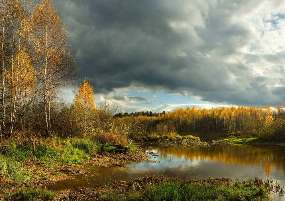 Контрасты осени