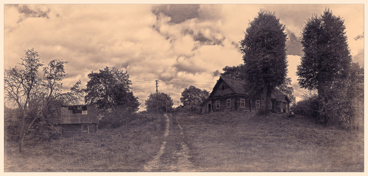 У двух тополей