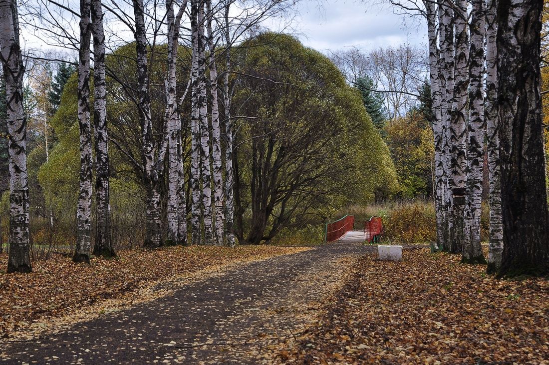 парк Мира III