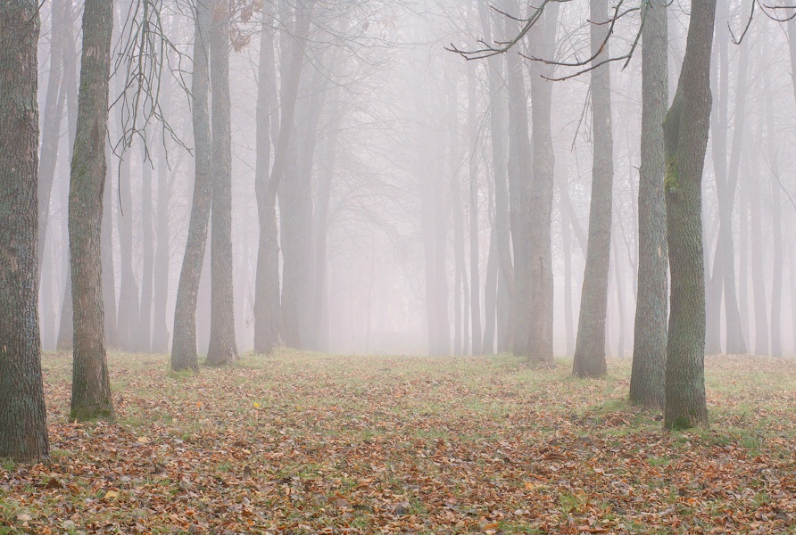 ..........The moment of silence...........