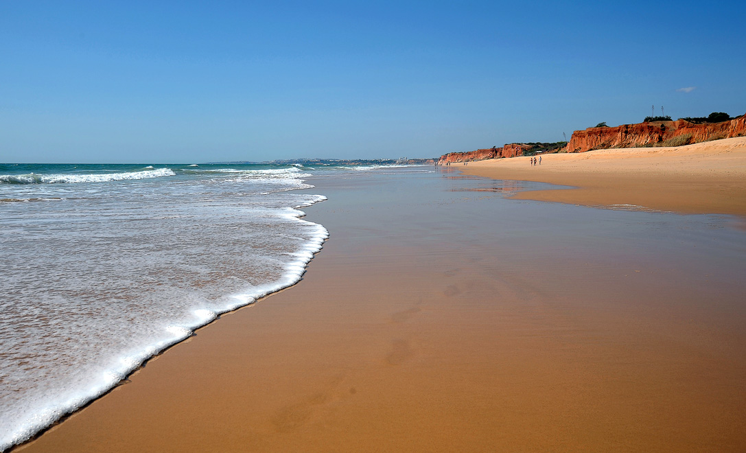 Линия волны