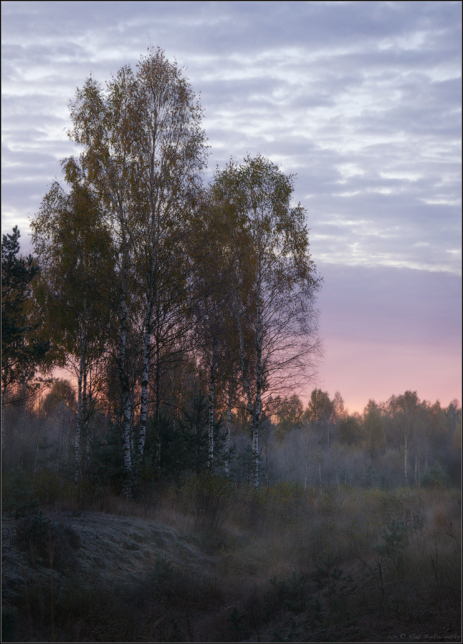 / Зарево рассвета  /