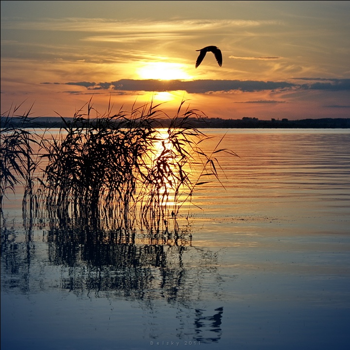 В е ч е р е л о