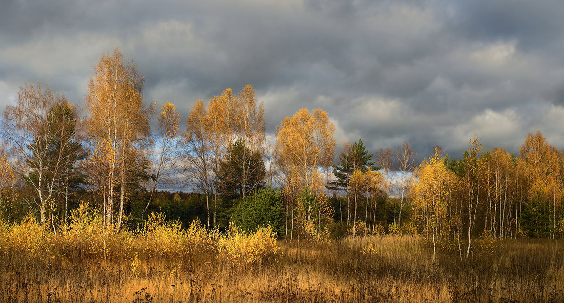 Золотая осень