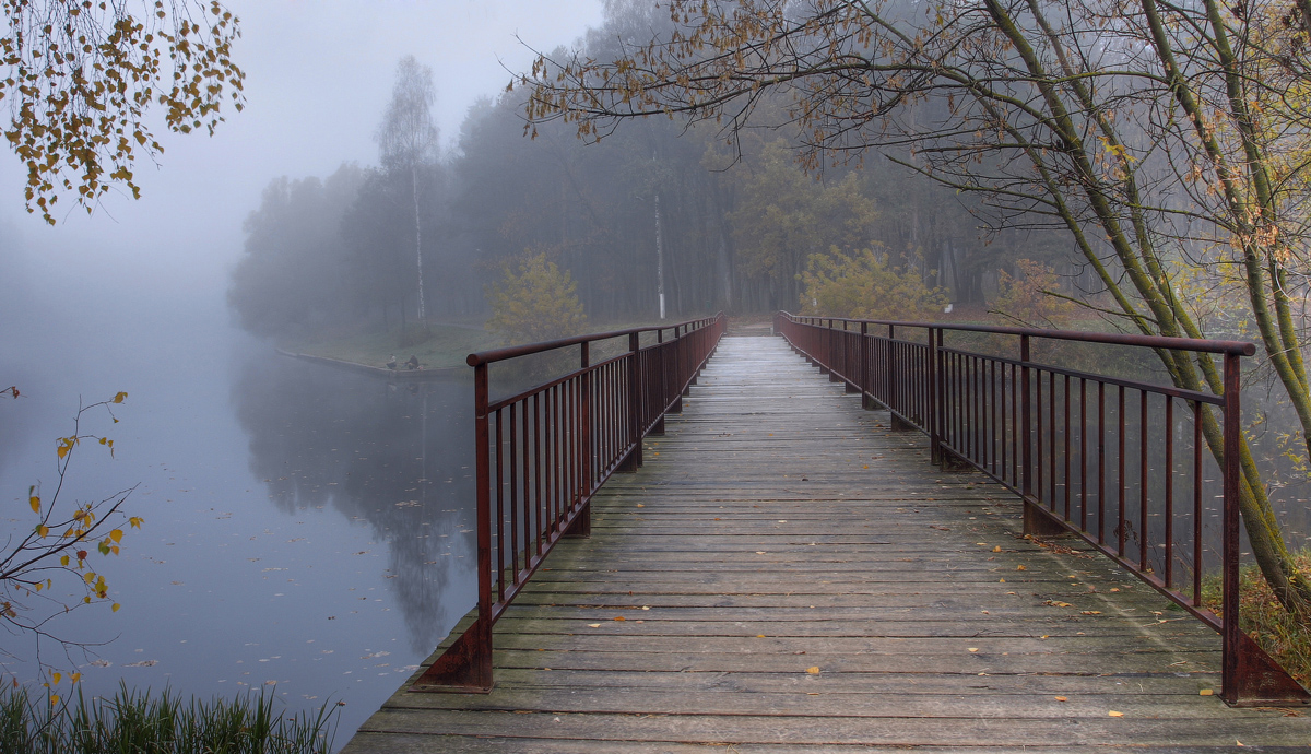 ............Serenity.............