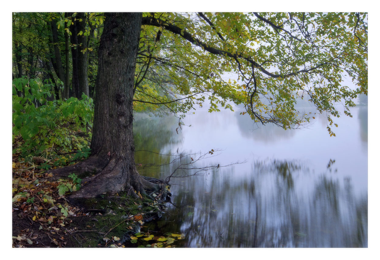 Октябрьская