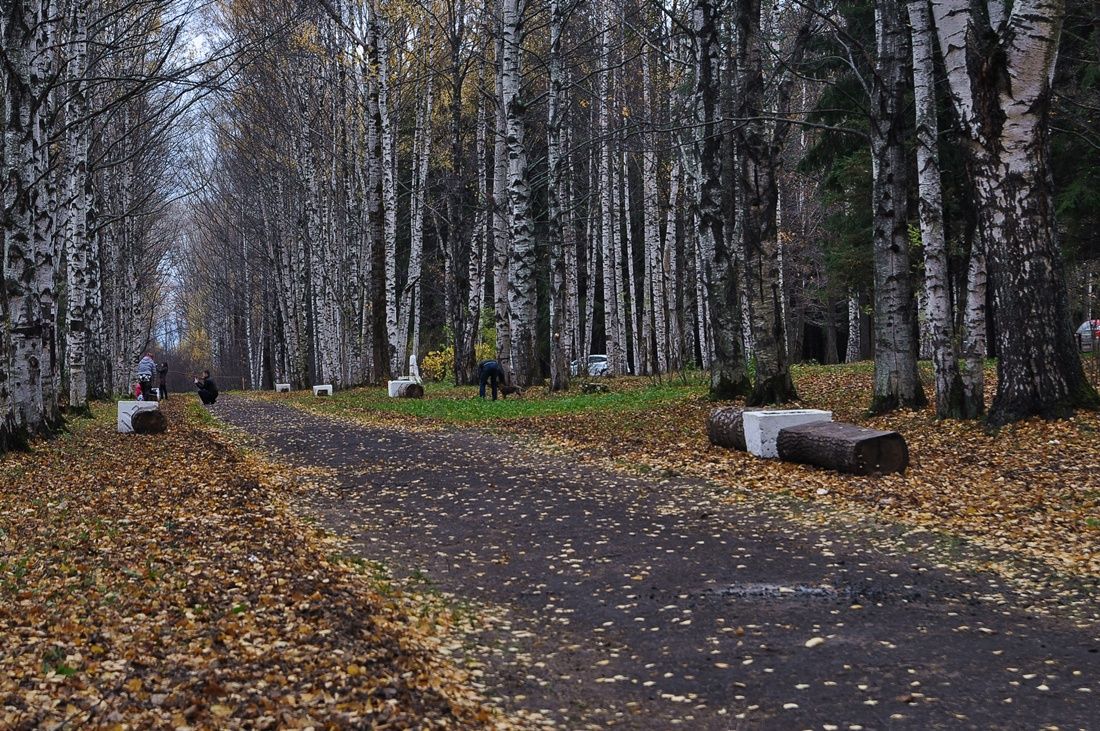 Парк и люди