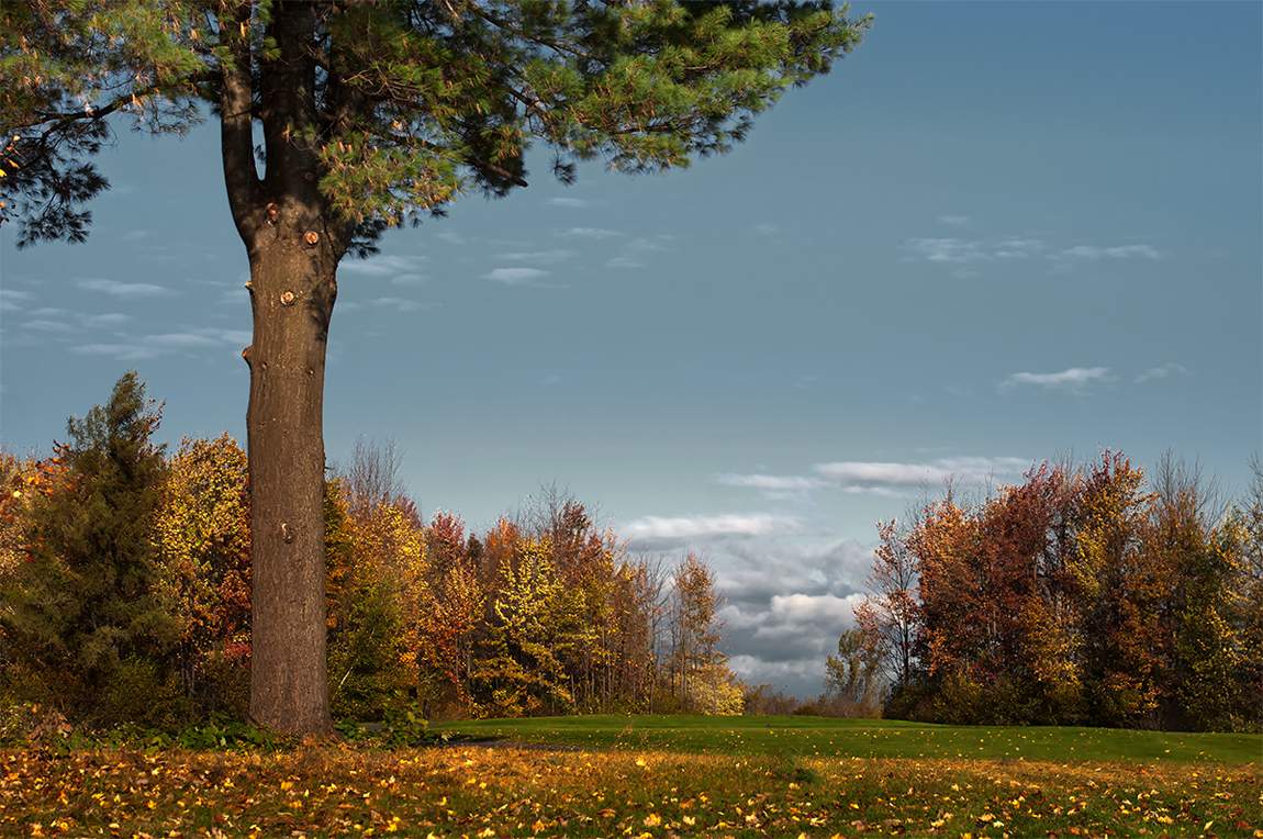 ....ветер-холода радевают Осень