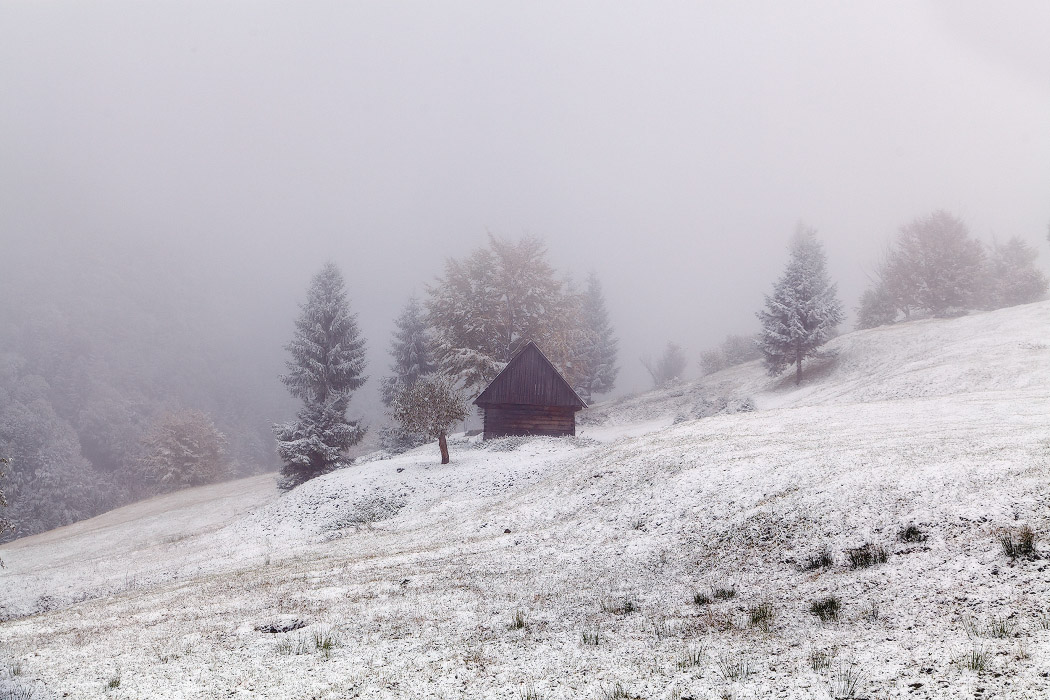 Туманы - снегопады