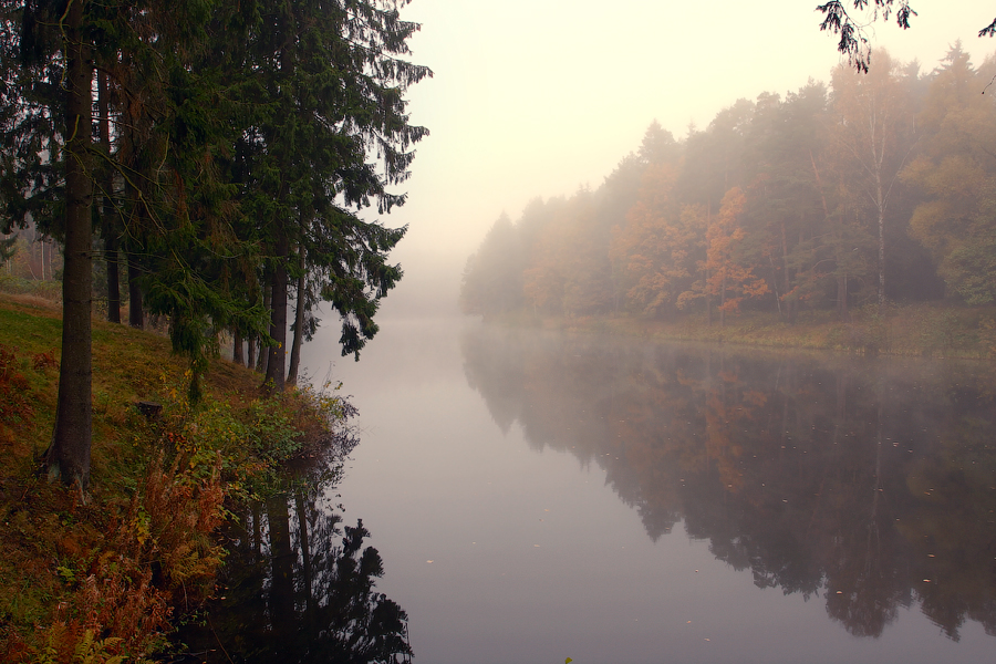 ................Quietness................