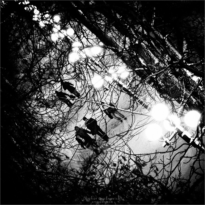 ‎[ Vanity of Vanities ] *2