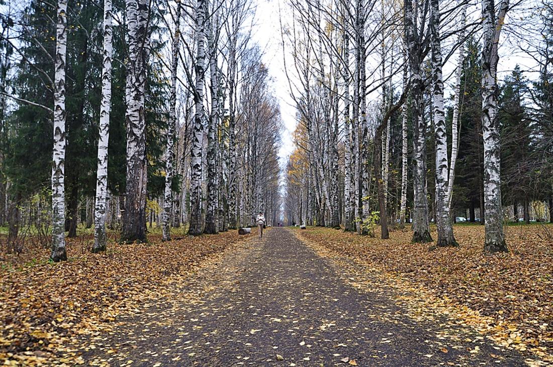 Середина осени