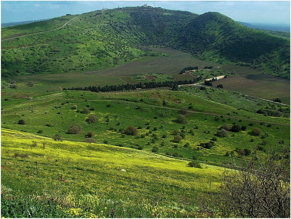 Весенний пейзаж