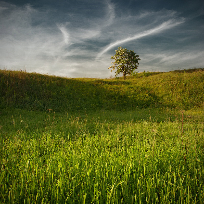 Безмятежность