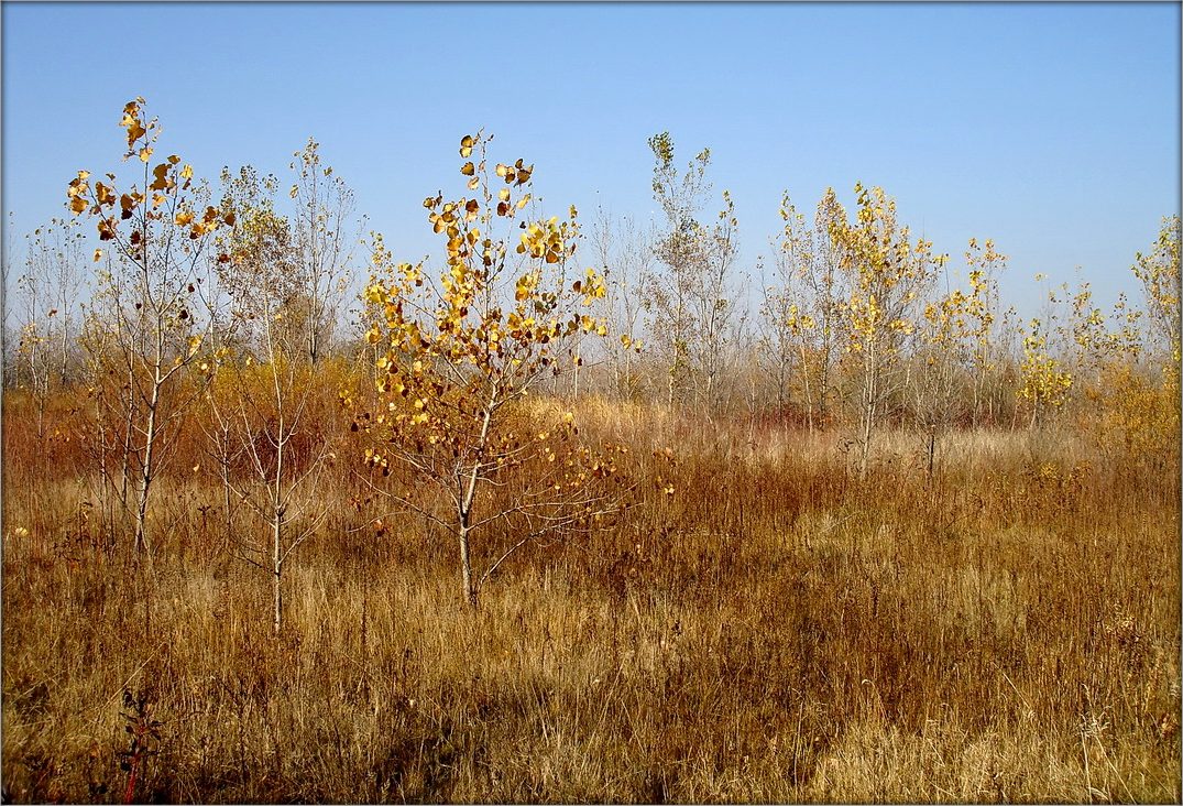 спустошанасць наўсцяж...
