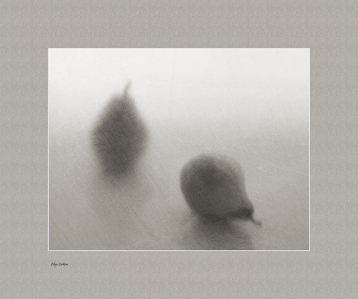 портрет несостоявшейся парочки