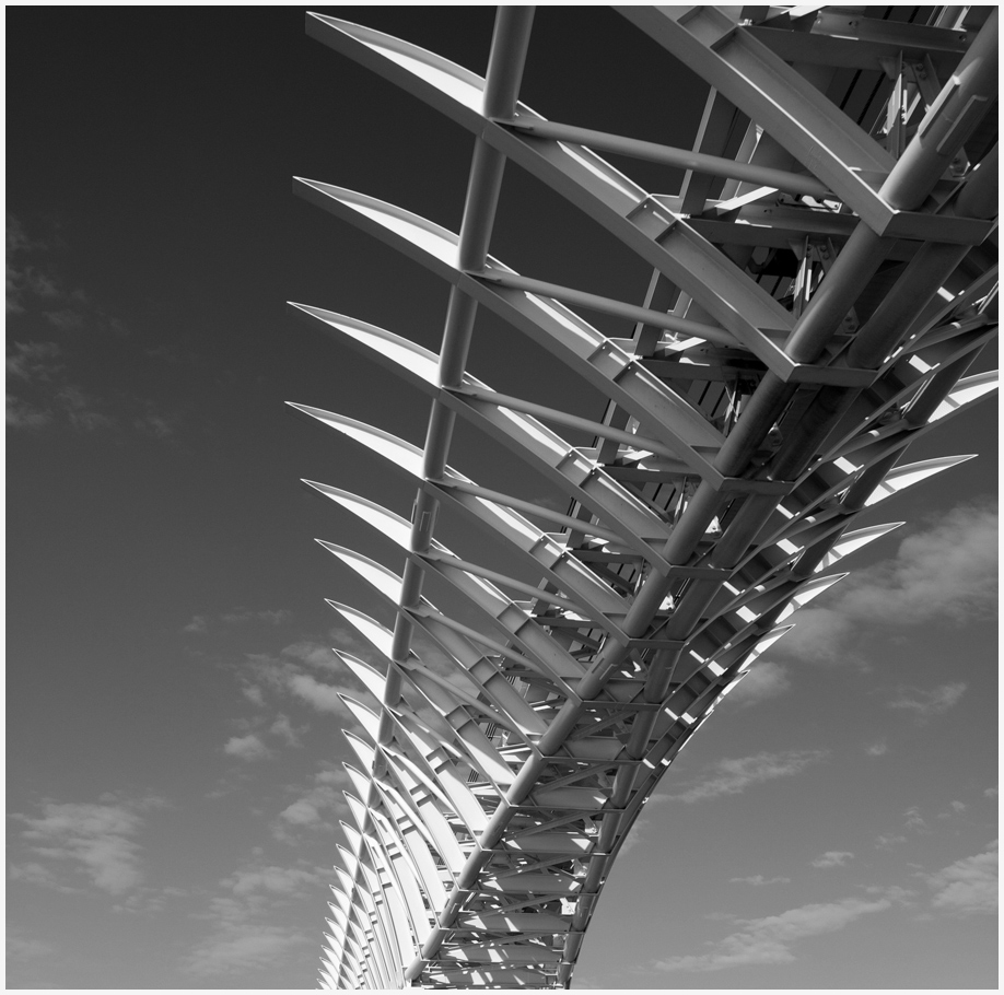 Позвоночник дракона