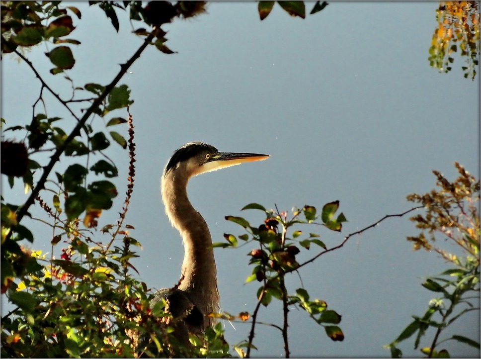 портрет на фоне