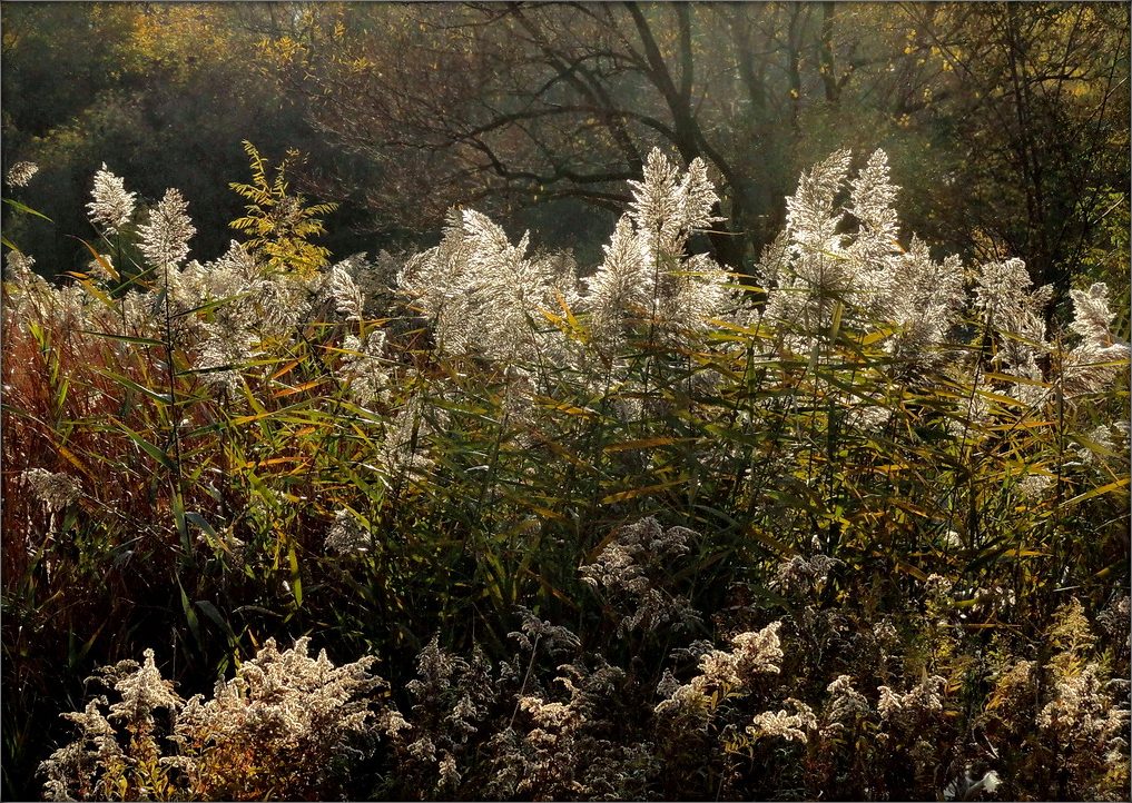 все, что нам осталось от лета