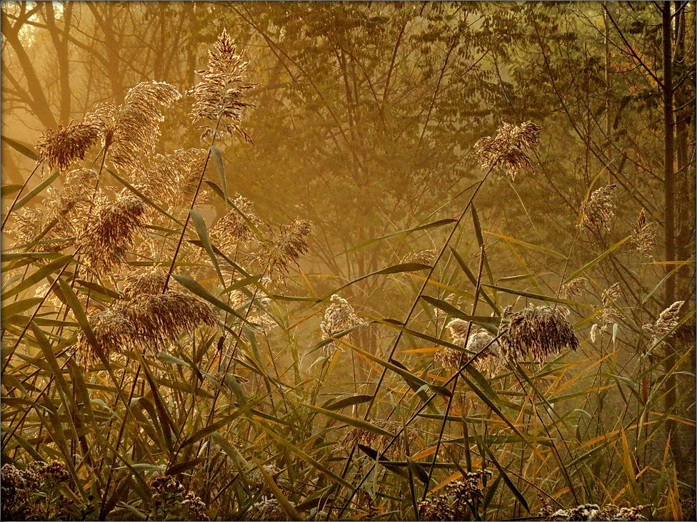 все, что нам осталось от лета ..2