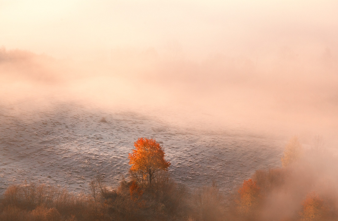 Утро ноября