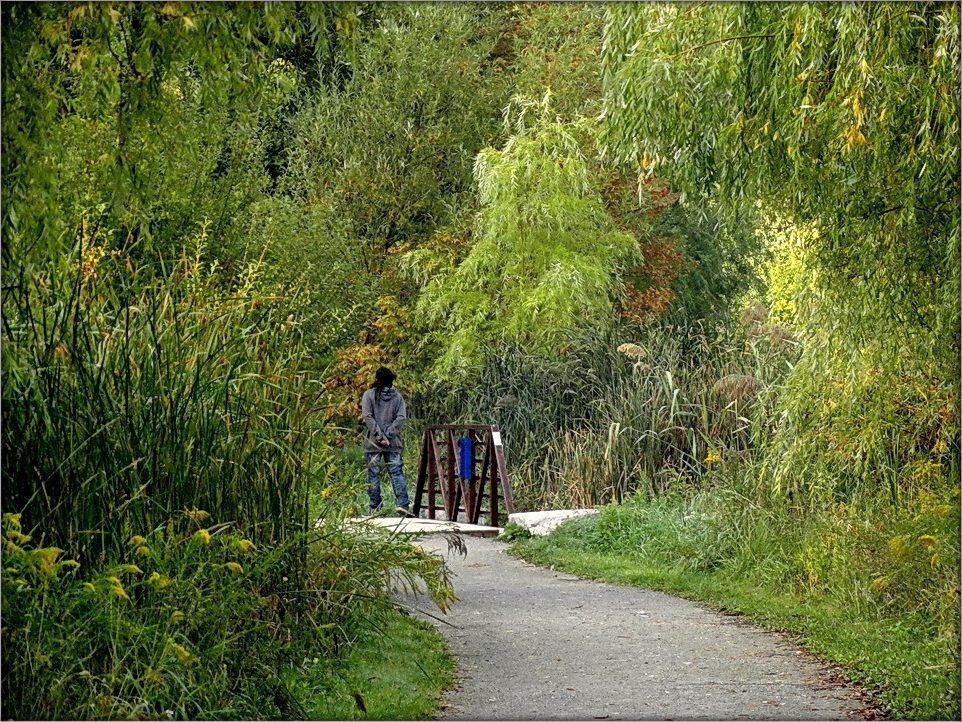 в преддверии осени