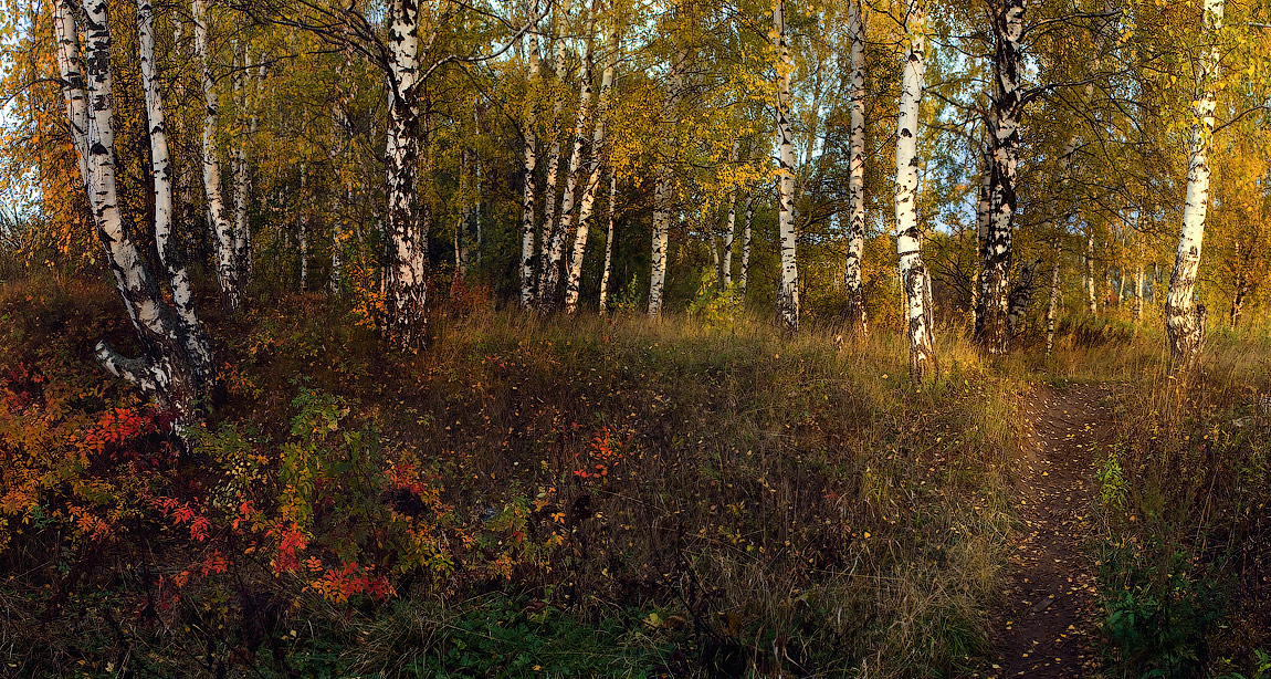 Осенними тропами