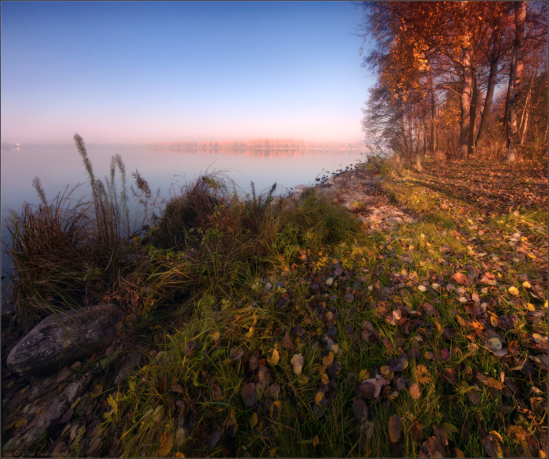 / Тихое утро /