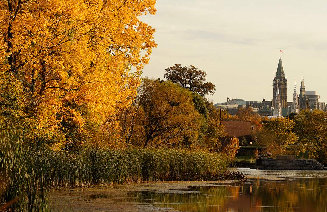 ...от тишины до суеты  рукой подать