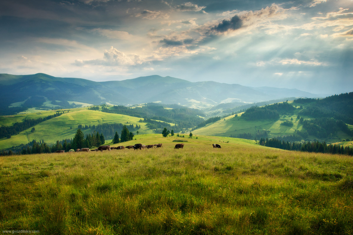 Пилипецкие луга