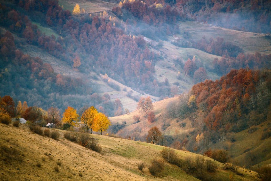 Осенняя палитра