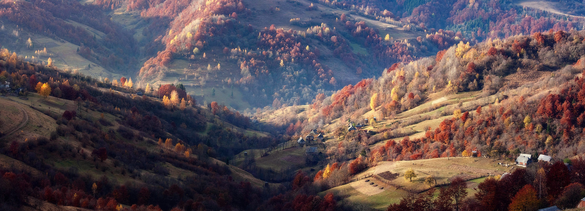 .........Встречая солнце.........