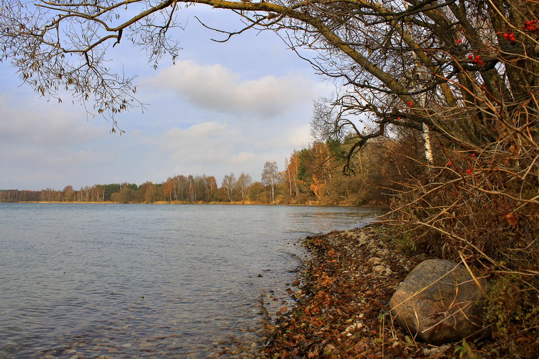 Осенние этюды