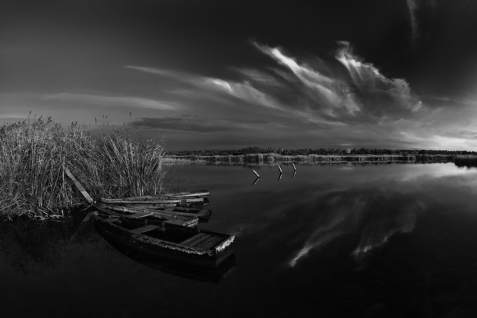 В Тихой Гавани