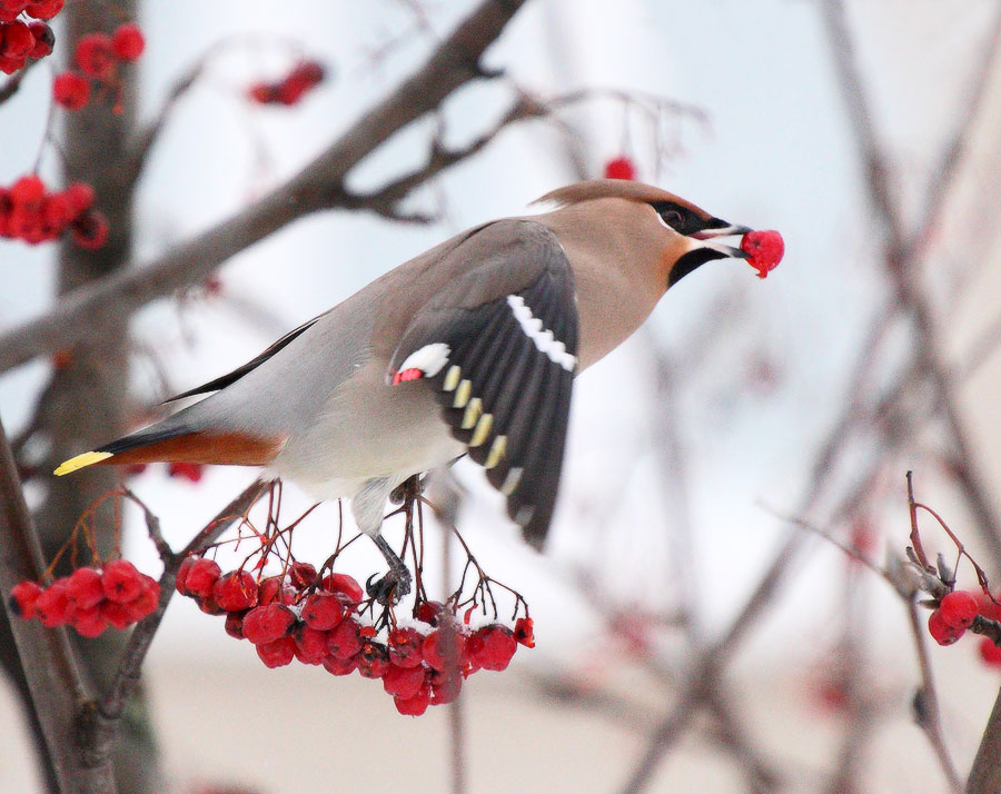 во всей красе