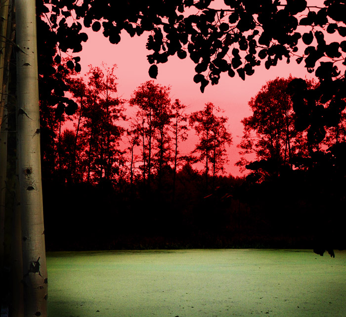 Закат над болотом. БССР посвящается.