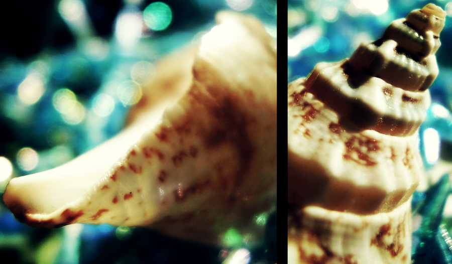 море вподарок