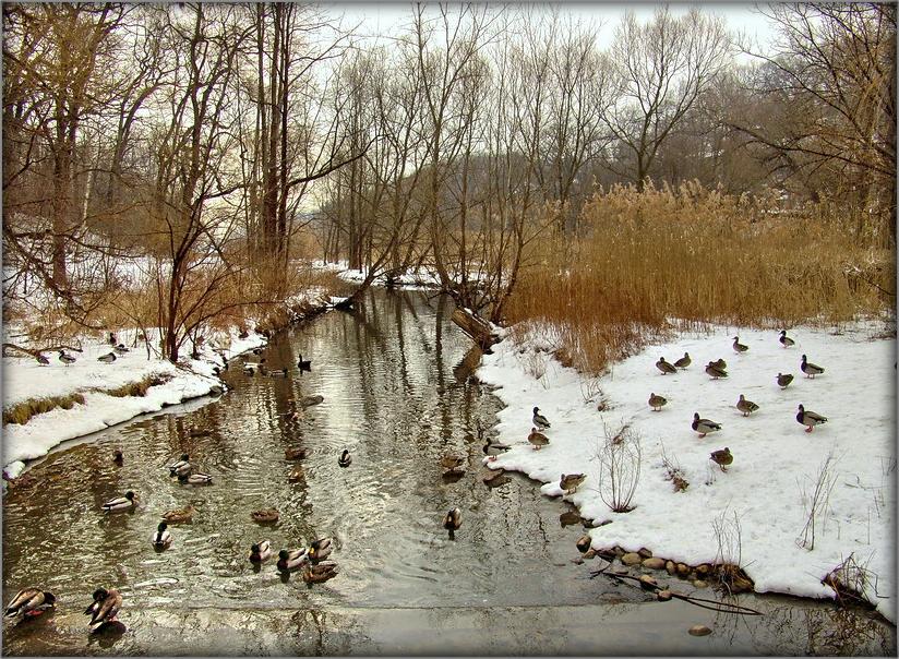 дзе знаходзіцца вырай?