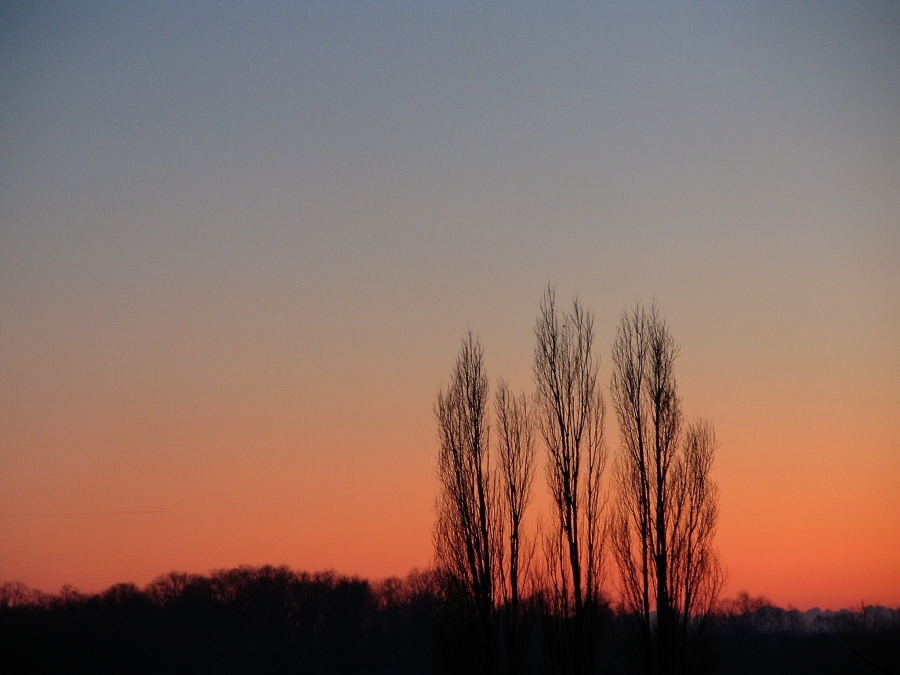 Зимний вечер