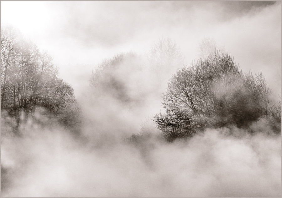 Нереальное утро. 3.