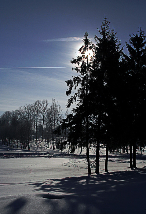 Мороз и солнце)