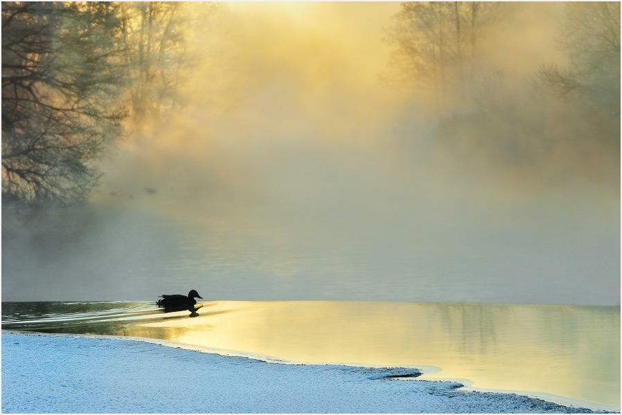 Нереальное утро. 4.